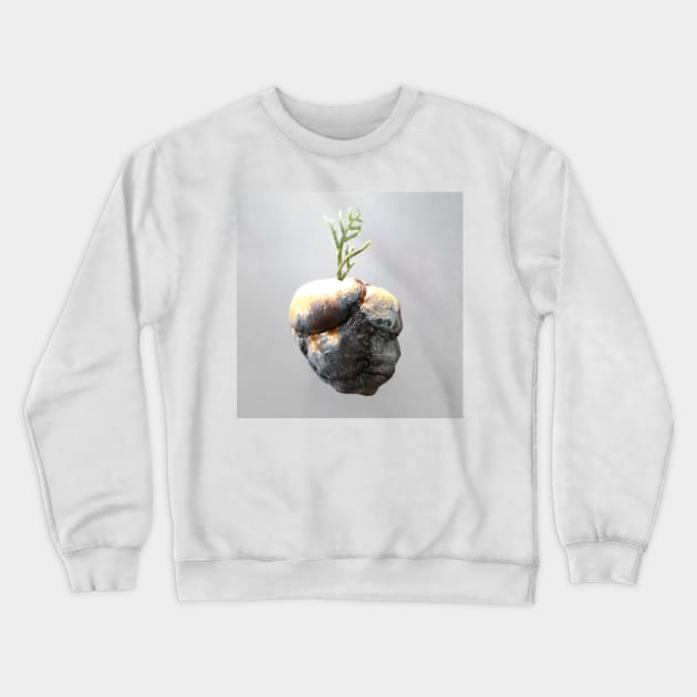 Earthling Crewneck Sweatshirt by aeolia